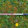 taylormade aeroburner driver 1"shorter Image 5