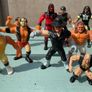 WWF Hasbros and Jakks Image 8
