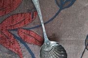 Sugar Shaker Spoon