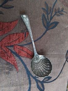 Sugar Shaker Spoon