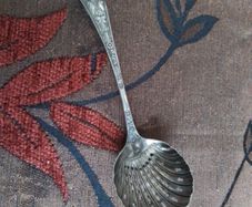 Sugar Shaker Spoon
