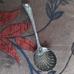 Sugar Shaker Spoon