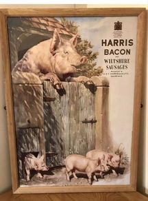 Large Harris Bacon Advertising Print Sign