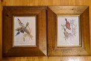 Lithograph Prints  x 2 By J Goulde &amp; H C Richter. Walter Imp  I'll.