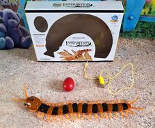 Moving toy Sentipede (Scolopendra Gigantea) (G01)