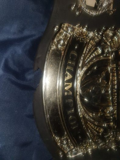 Wwe World Wrestling Entertainment Champion Belt