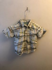 Gymboree shirt (age 2)