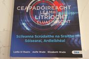 bi reidh, irish junior cycle exam skills