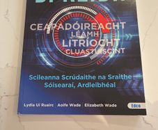 bi reidh, irish junior cycle exam skills