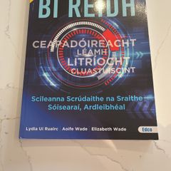 bi reidh, irish junior cycle exam skills