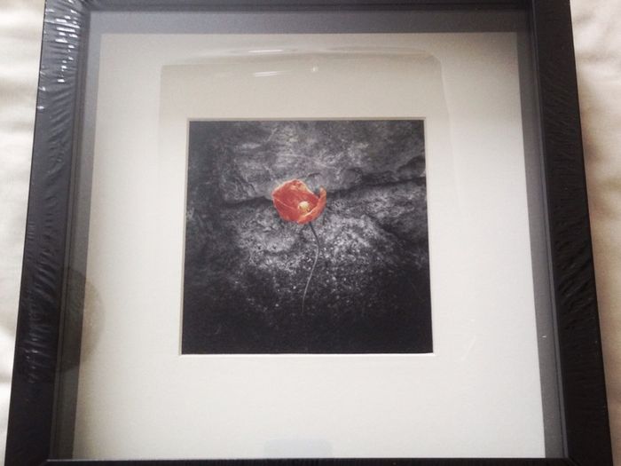 'The Hero'- original photography by the seller.