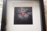 'The Hero'- original photography by the seller.