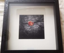 'The Hero'- original photography by the seller.