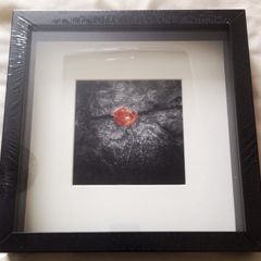 'The Hero'- original photography by the seller.