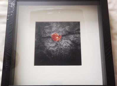 'The Hero'- original photography by the seller.