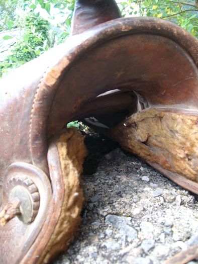 Old Saddle