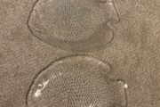 A Pair of Vintage Arcoroc Fish Plates