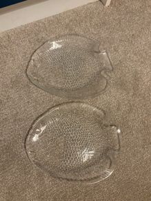 A Pair of Vintage Arcoroc Fish Plates