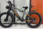 Massive Spec 1000w Electric Bike