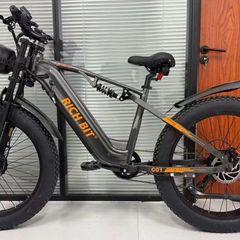 Massive Spec 1000w Electric Bike