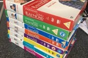 Everybody Loves Raymond: Seasons 1-8 DVD Box Sets Bundle