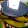 Shrek 2 Xbox Original Games Original Pal version Image 9