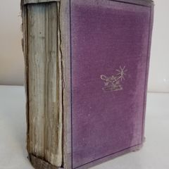 Derry and Enniskillen in the Year 1689: The Story of Some Battle-Fields in Ulster by Thomas Witherow (GT810)
