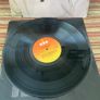 Neil Diamond - 10 LP Collection Image 8