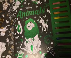 3 Disney Colouring books & markers
