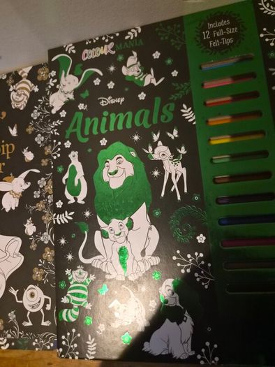 3 Disney Colouring books & markers