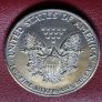 USA 1991 Silver Eagle 1 Dollar Toned Coin Image 5