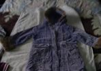 ladybird jacket