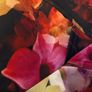 Ted Baker Embla Floral Skater Dress Short Dress Woman Size 2 / UK 10 Image 4