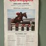 Horse racing Image 3