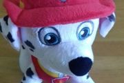 Paw Patrol bundle