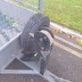 8 x 4 twin axle trailer Image 7