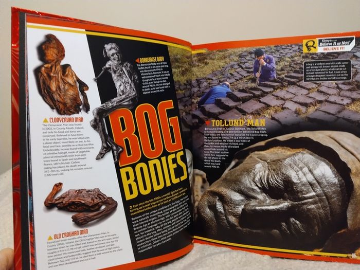 Ripley,s Believe It Or Not Hardback Book