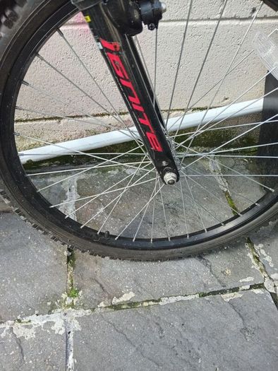 girls bicycle brand new