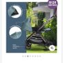 buggy Image 3