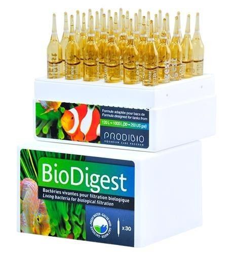 Prodibio BioDigest - 1 ampoule