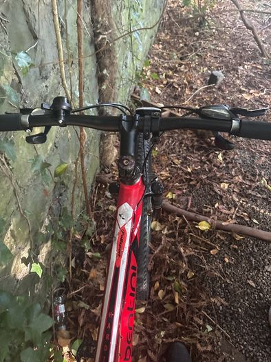 bentini bike 27.5 inch