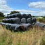 Bales of silage Image 2