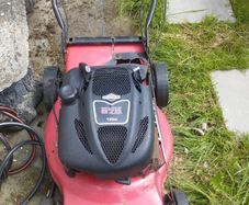 Petrol lawnmowers sold as seen