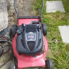 Petrol lawnmowers sold as seen