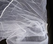 Veil