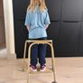 Child Walking Aid (Zimmer Frame) Image 2