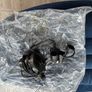 Sensory Pod Image 7