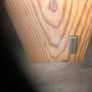 mamas and papas under cot storage. Image 3