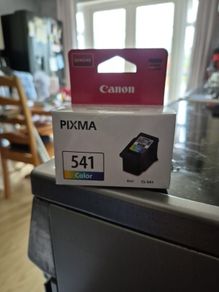 Printer Ink