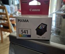 Printer Ink